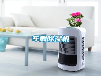 企业新闻车载除湿机