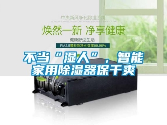 常见问题不当“湿人”，智能家用除湿器保干爽