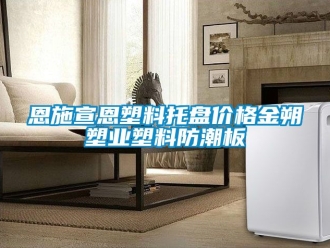 常见问题恩施宣恩塑料托盘价格金朔塑业塑料防潮板