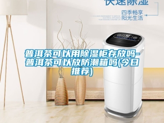 常见问题普洱茶可以用除湿柜存放吗-普洱茶可以放防潮箱吗(今日推荐)