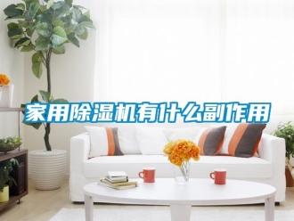 行业新闻家用除湿机有什么副作用