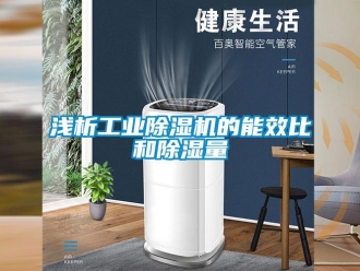行业新闻浅析工业除湿机的能效比和除湿量