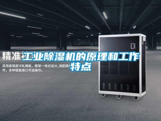 企业新闻工业除湿机的原理和工作特点