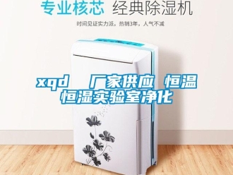 常见问题xqd  厂家供应 恒温恒湿实验室净化