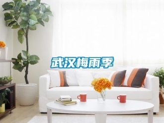 知识百科武汉梅雨季