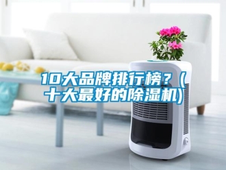 企业新闻10大品牌排行榜？(十大最好的除湿机)