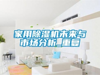 常见问题家用除湿机未来与市场分析_重复