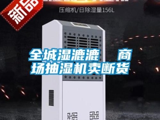 行业新闻全城湿漉漉  商场抽湿机卖断货