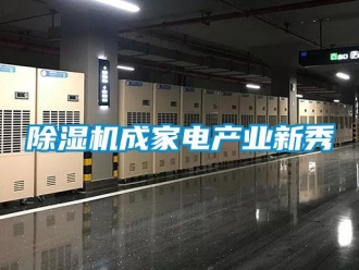 企业新闻除湿机成家电产业新秀