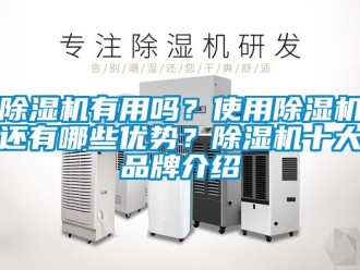 企业新闻除湿机有用吗？使用除湿机还有哪些优势？除湿机十大品牌介绍