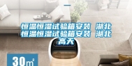 恒温恒湿试验箱安装 湖北恒温恒湿试验箱安装 湖北高天