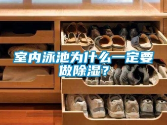 知识百科室内泳池为什么一定要做除湿？