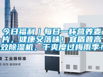 行业新闻今日福利｜每日一杯营养麦片，健康又落味！宜盾普高效除湿机，干爽度过梅雨季！