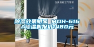 除湿效果明显 MDH-616A除湿机报价1480元