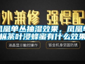 企业新闻凤凰单丛抽湿效果，凤凰单枞荼叶浸蜂蜜有什么效果