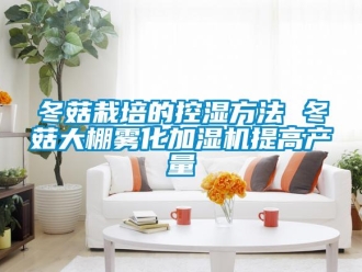 企业新闻冬菇栽培的控湿方法 冬菇大棚雾化加湿机提高产量