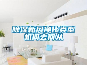 企业新闻除湿新风净化类型机何去何从