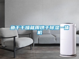 知识百科鱼干干燥就用烘干除湿一体机
