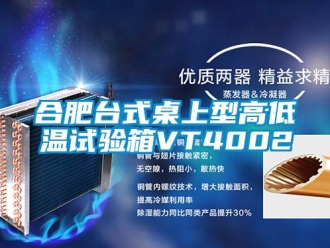常见问题合肥台式桌上型高低温试验箱VT4002