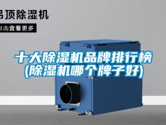 企业新闻十大除湿机品牌排行榜(除湿机哪个牌子好)