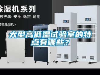 常见问题大型高低温试验室的特点有哪些？