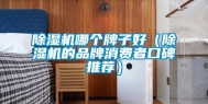 除湿机哪个牌子好（除湿机的品牌消费者口碑推荐）