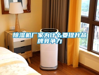 企业新闻除湿机厂家为什么要提升品牌竞争力