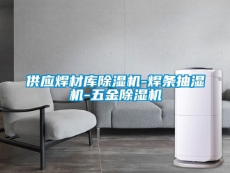 行业新闻供应焊材库除湿机-焊条抽湿机-五金除湿机