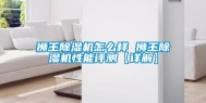 狮王除湿机怎么样 狮王除湿机性能评测【详解】