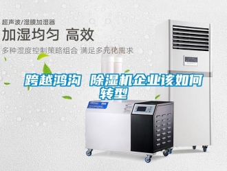 常见问题跨越鸿沟 除湿机企业该如何转型