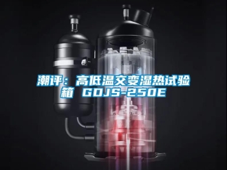 常见问题潮评：高低温交变湿热试验箱 GDJS-250E