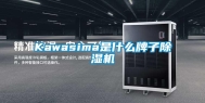 Kawasima是什么牌子除湿机