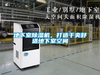 行业新闻地下室除湿机，打造干爽舒适地下室空间