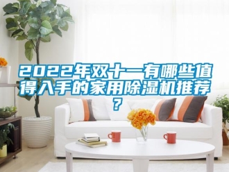 常见问题2022年双十一有哪些值得入手的家用除湿机推荐？