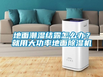 行业新闻地面潮湿结露怎么办？就用大功率地面除湿机