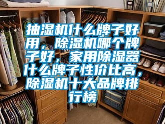 企业新闻抽湿机什么牌子好用，除湿机哪个牌子好，家用除湿器什么牌子性价比高，除湿机十大品牌排行榜