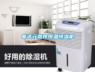 知识百科电子元器件恒温恒湿柜