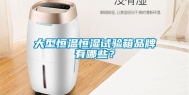 大型恒温恒湿试验箱品牌有哪些？