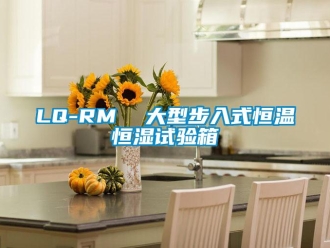 常见问题LQ-RM  大型步入式恒温恒湿试验箱