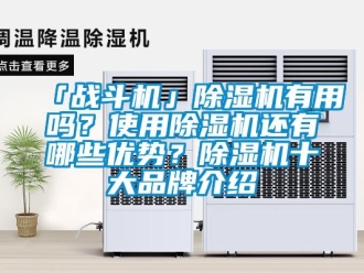 企业新闻「战斗机」除湿机有用吗？使用除湿机还有哪些优势？除湿机十大品牌介绍