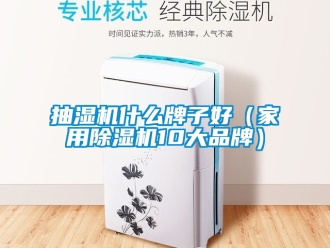 企业新闻抽湿机什么牌子好（家用除湿机10大品牌）