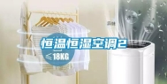 恒温恒湿空调2