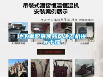 企业新闻地下室配吊顶新风除湿机进行干燥