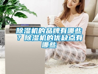 企业新闻除湿机的品牌有哪些？除湿机的优缺点有哪些
