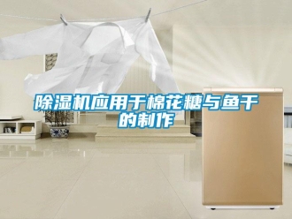 企业新闻除湿机应用于棉花糖与鱼干的制作