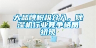 大品牌积极介入，除湿机行业竞争格局初现