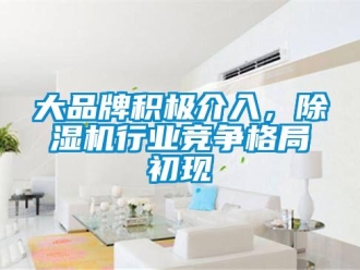 企业新闻大品牌积极介入，除湿机行业竞争格局初现