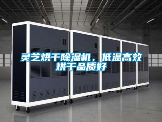 行业新闻灵芝烘干除湿机，低温高效烘干品质好
