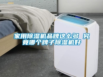 企业新闻家用除湿机品牌这么多 究竟哪个牌子除湿机好