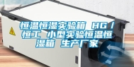 恒温恒湿实验箱 HG／恒工 小型实验恒温恒湿箱 生产厂家